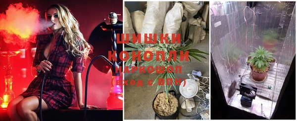 соль курить ск Богданович