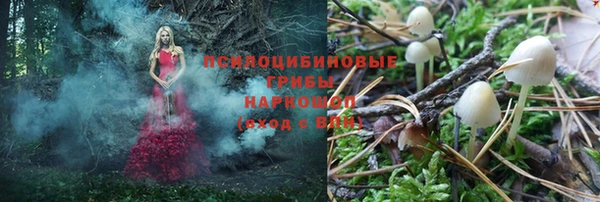 MDMA Premium VHQ Богородицк